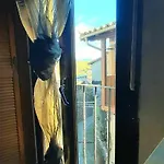 شقة La Duena I *
