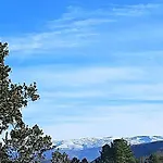 La Duena I *
