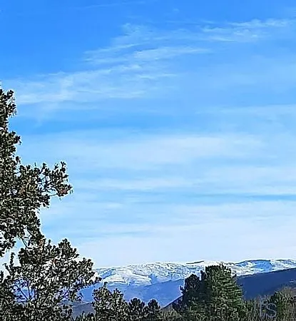 La Duena I *